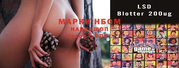 мет Алексин